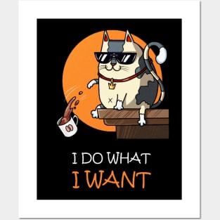 I do what i want Posters and Art